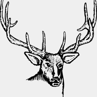 DEER007 Thumbnail
