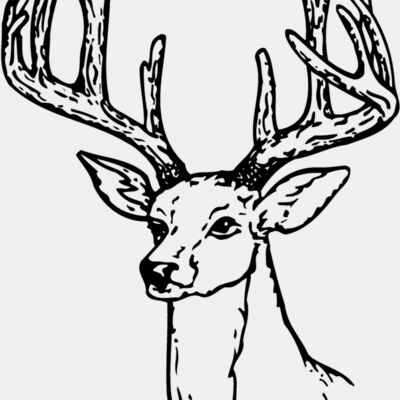 DEER009 Thumbnail
