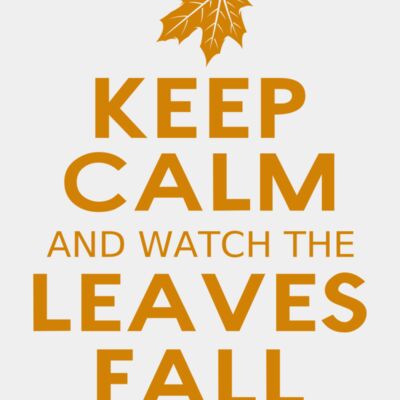 Fall Season 04 Thumbnail